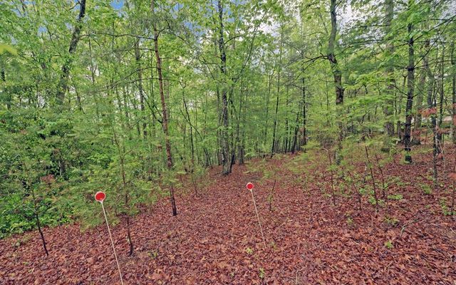 100 Carvers View Trail, Murphy, NC 28906
