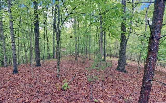 100 Carvers View Trail, Murphy, NC 28906