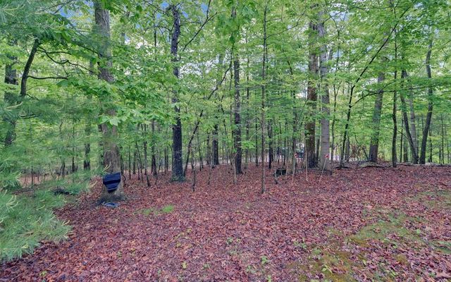 100 Carvers View Trail, Murphy, NC 28906