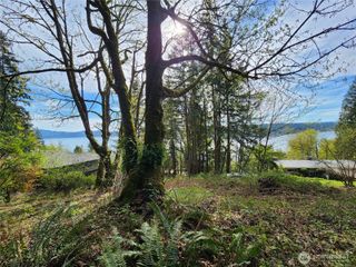 0 E Lake Sammamish Parkway NE, Sammamish, WA 98074