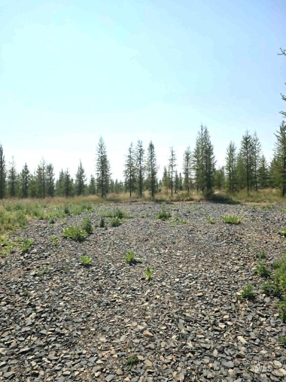 333 Wildwood Drive, Orofino, ID 83544 photo 2