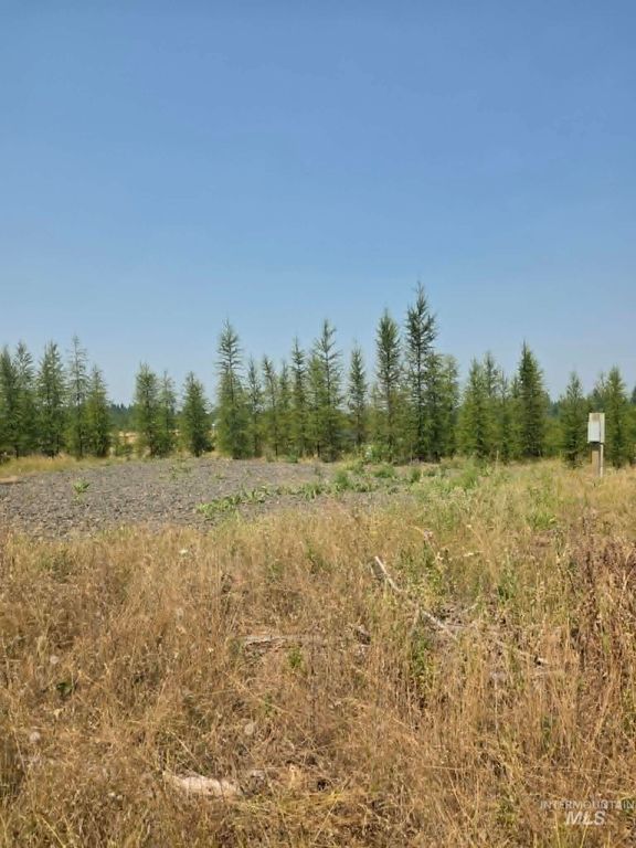 333 Wildwood Drive, Orofino, ID 83544 photo 5