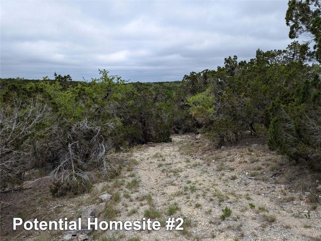 701 Plant Lady LN, Dripping Springs, TX 78620