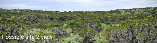 701 Plant Lady LN, Dripping Springs, TX 78620