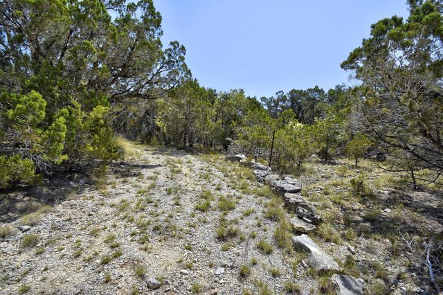 701 Plant Lady LN, Dripping Springs, TX 78620