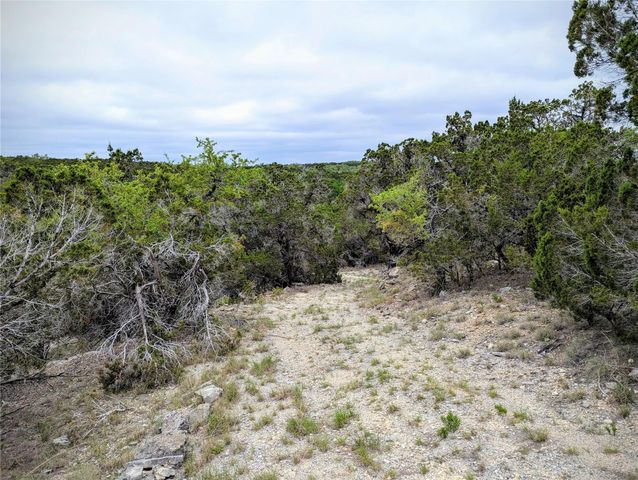 701 Plant Lady LN, Dripping Springs, TX 78620