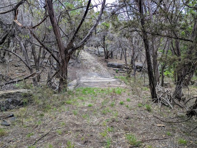 701 Plant Lady LN, Dripping Springs, TX 78620