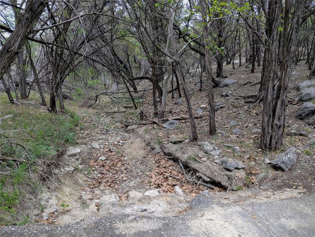 701 Plant Lady LN, Dripping Springs, TX 78620