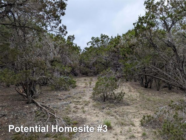 701 Plant Lady LN, Dripping Springs, TX 78620