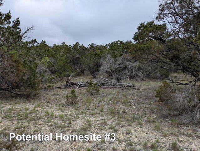 701 Plant Lady LN, Dripping Springs, TX 78620