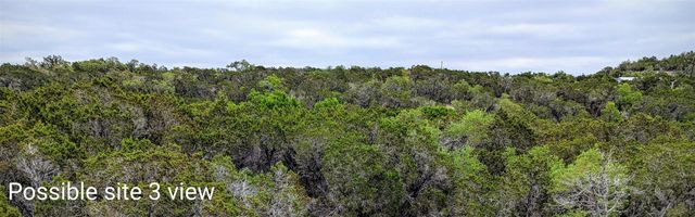 701 Plant Lady LN, Dripping Springs, TX 78620