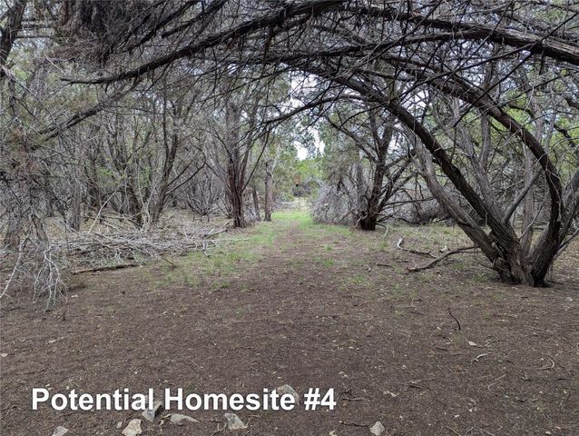 701 Plant Lady LN, Dripping Springs, TX 78620