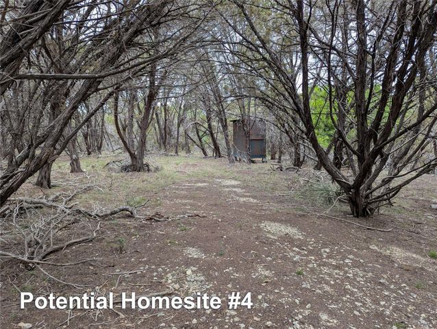 701 Plant Lady LN, Dripping Springs, TX 78620