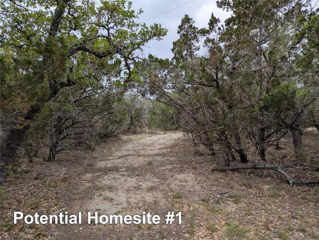 701 Plant Lady LN, Dripping Springs, TX 78620