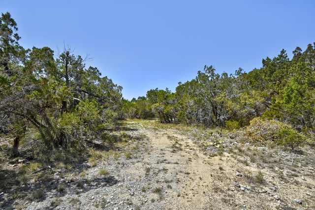 701 Plant Lady LN, Dripping Springs, TX 78620