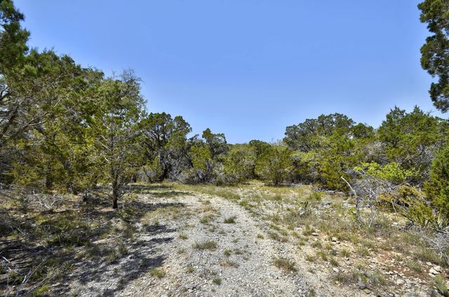 701 Plant Lady LN, Dripping Springs, TX 78620