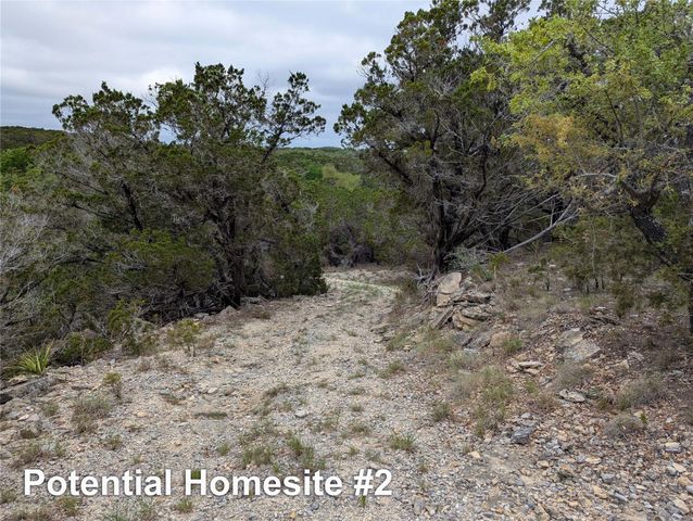 701 Plant Lady LN, Dripping Springs, TX 78620