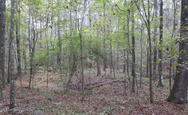 Westline Lots Drive, Madison, MS 39110