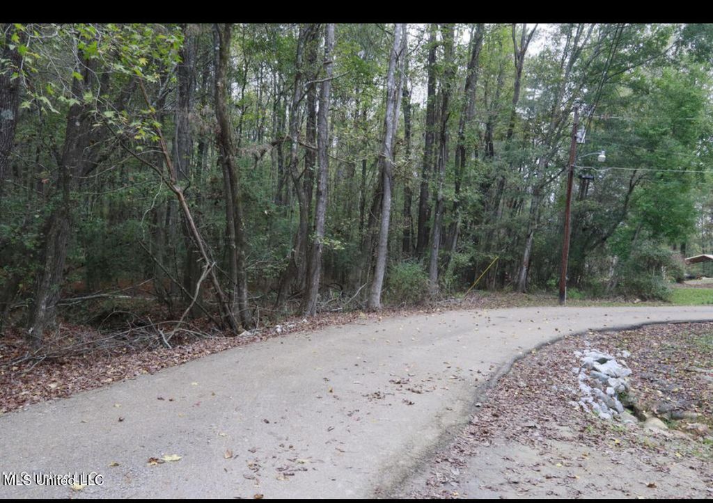 Westline Lots Drive, Madison, MS 39110