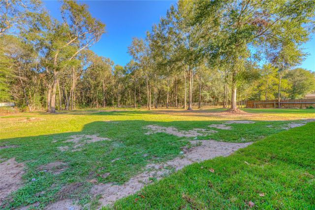420 Oak Forest Drive, Shepherd, TX 77371