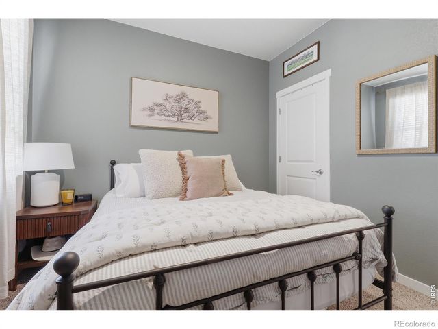 1911 Raindrop Drive, Windsor, CO 80550