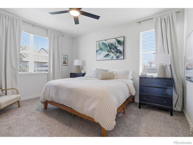 1911 Raindrop Drive, Windsor, CO 80550