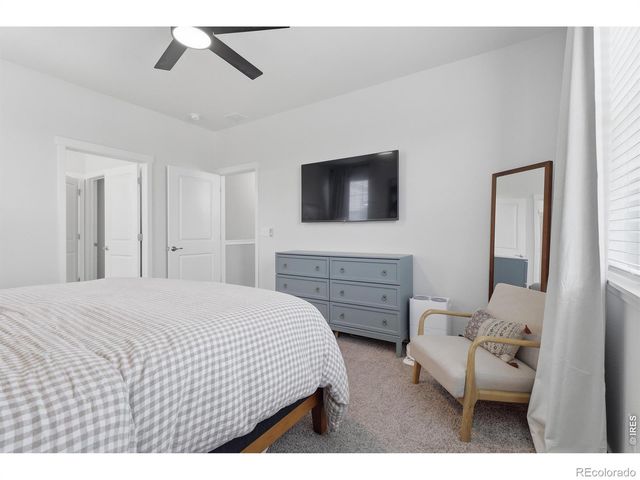 1911 Raindrop Drive, Windsor, CO 80550