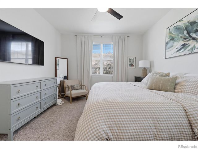 1911 Raindrop Drive, Windsor, CO 80550