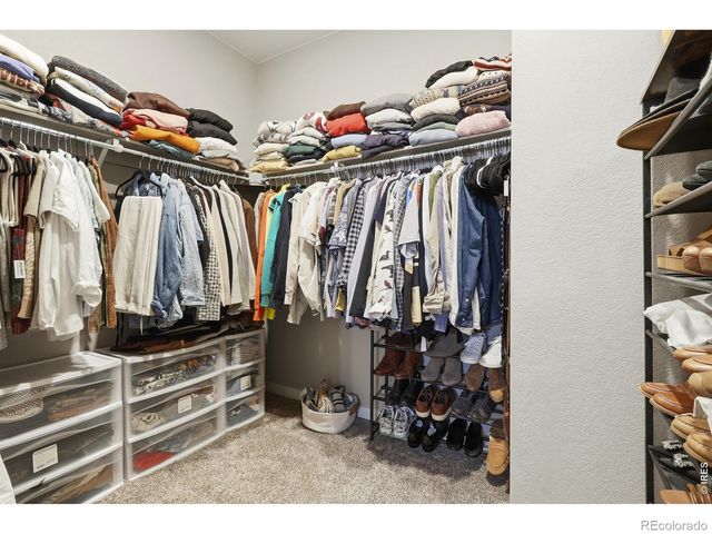 1911 Raindrop Drive, Windsor, CO 80550