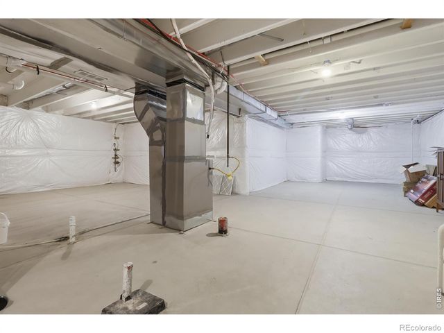 1911 Raindrop Drive, Windsor, CO 80550
