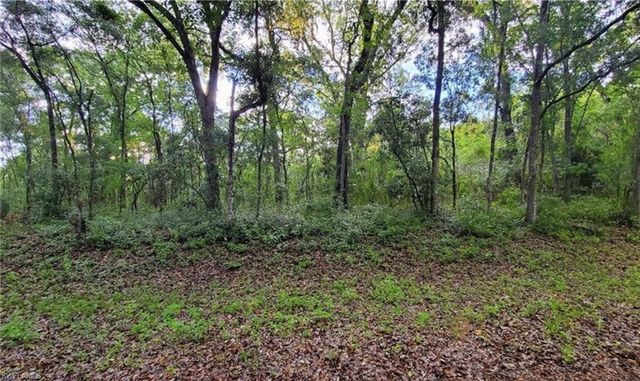 0 Kenyon DR, Webster, FL 33597
