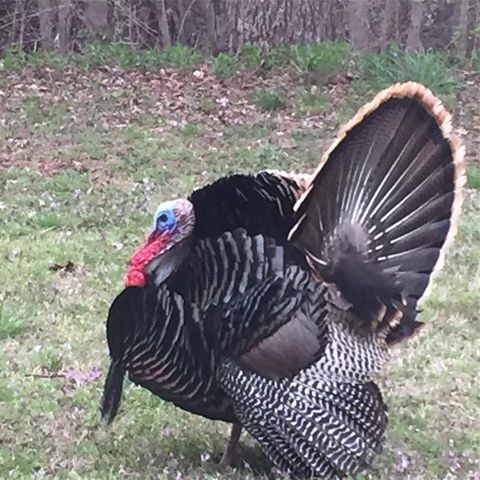 23362 Johnson Avenue, Purcell, OK 73080