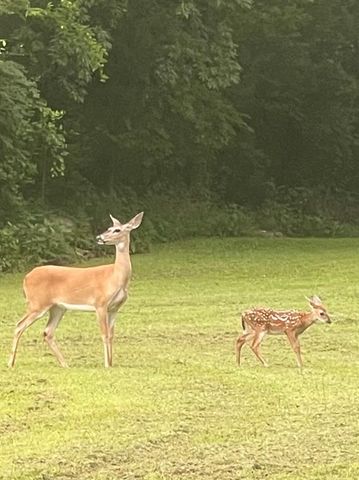 23362 Johnson Avenue, Purcell, OK 73080