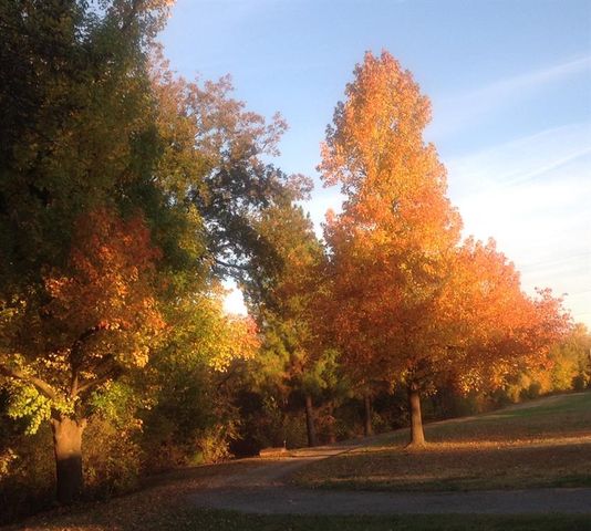 23362 Johnson Avenue, Purcell, OK 73080