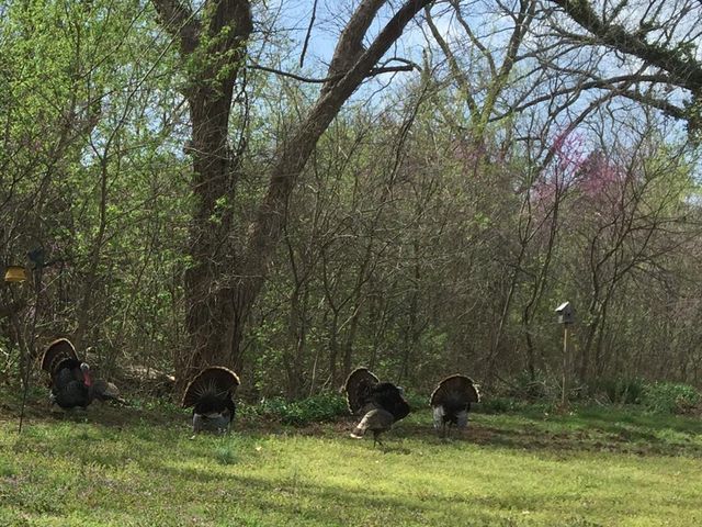 23362 Johnson Avenue, Purcell, OK 73080