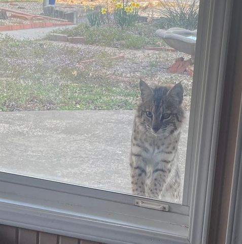 23362 Johnson Avenue, Purcell, OK 73080