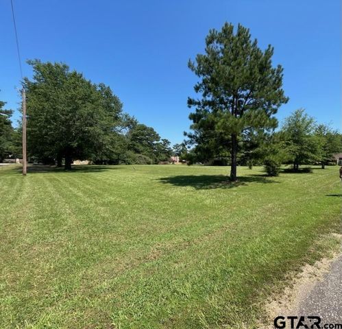TBD Lot 22,23 & 24 ACR 308, Frankston, TX 75763