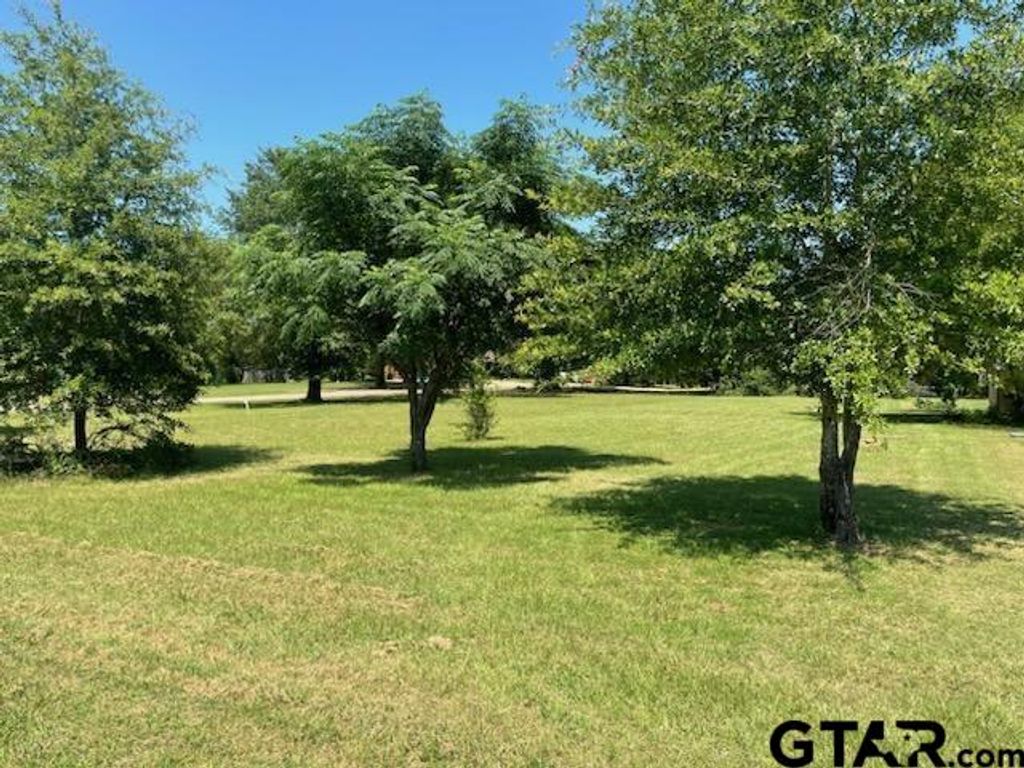 TBD Lot 22,23 & 24 ACR 308, Frankston, TX 75763