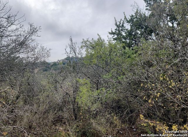 18 W Queens Crown, Live Oak, TX 78233