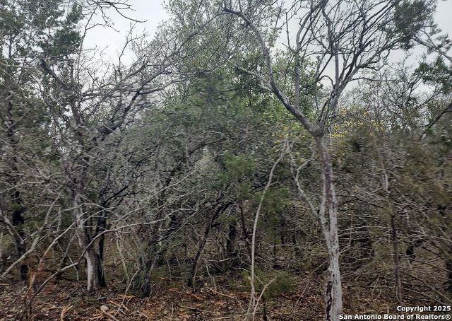 18 W Queens Crown, Live Oak, TX 78233
