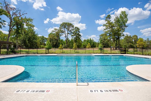 13320 Burbot Drive, Conroe, TX 77384