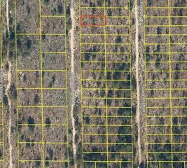 132 KANSAS AVENUE, Hawthorne, FL 32640