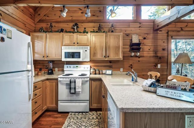 234 Alpine Mountain Way, Pigeon Forge, TN 37863