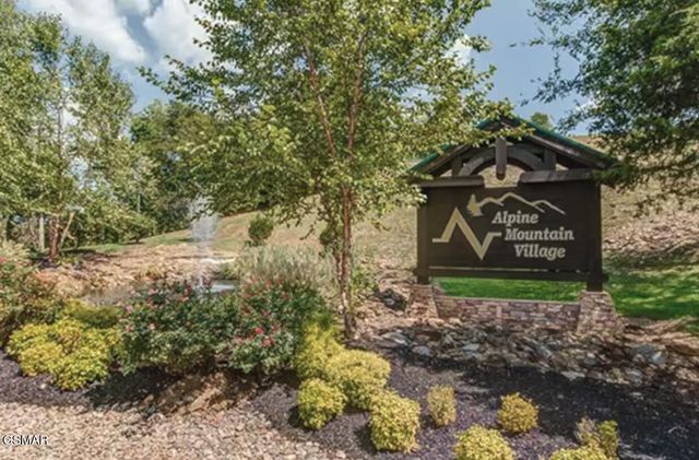 234 Alpine Mountain Way, Pigeon Forge, TN 37863