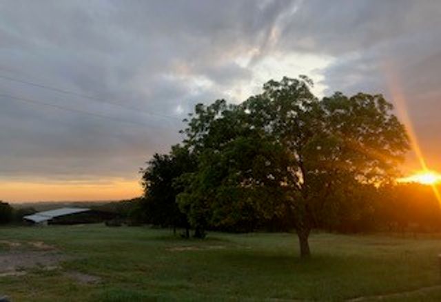 3166 Fm 2048, Boyd, TX 76023