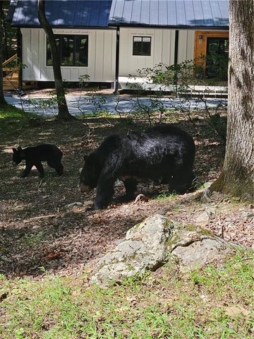 300 Sassafras Mountain Trail, Jasper, GA 30143