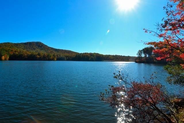 300 Sassafras Mountain Trail, Jasper, GA 30143