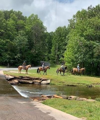 300 Sassafras Mountain Trail, Jasper, GA 30143