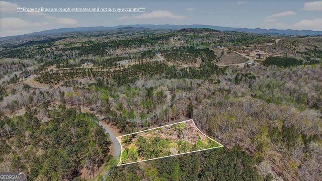 0 Twisted Oak Road LOT 440, Talking Rock, GA 30175
