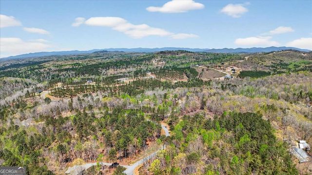 0 Twisted Oak Road LOT 440, Talking Rock, GA 30175